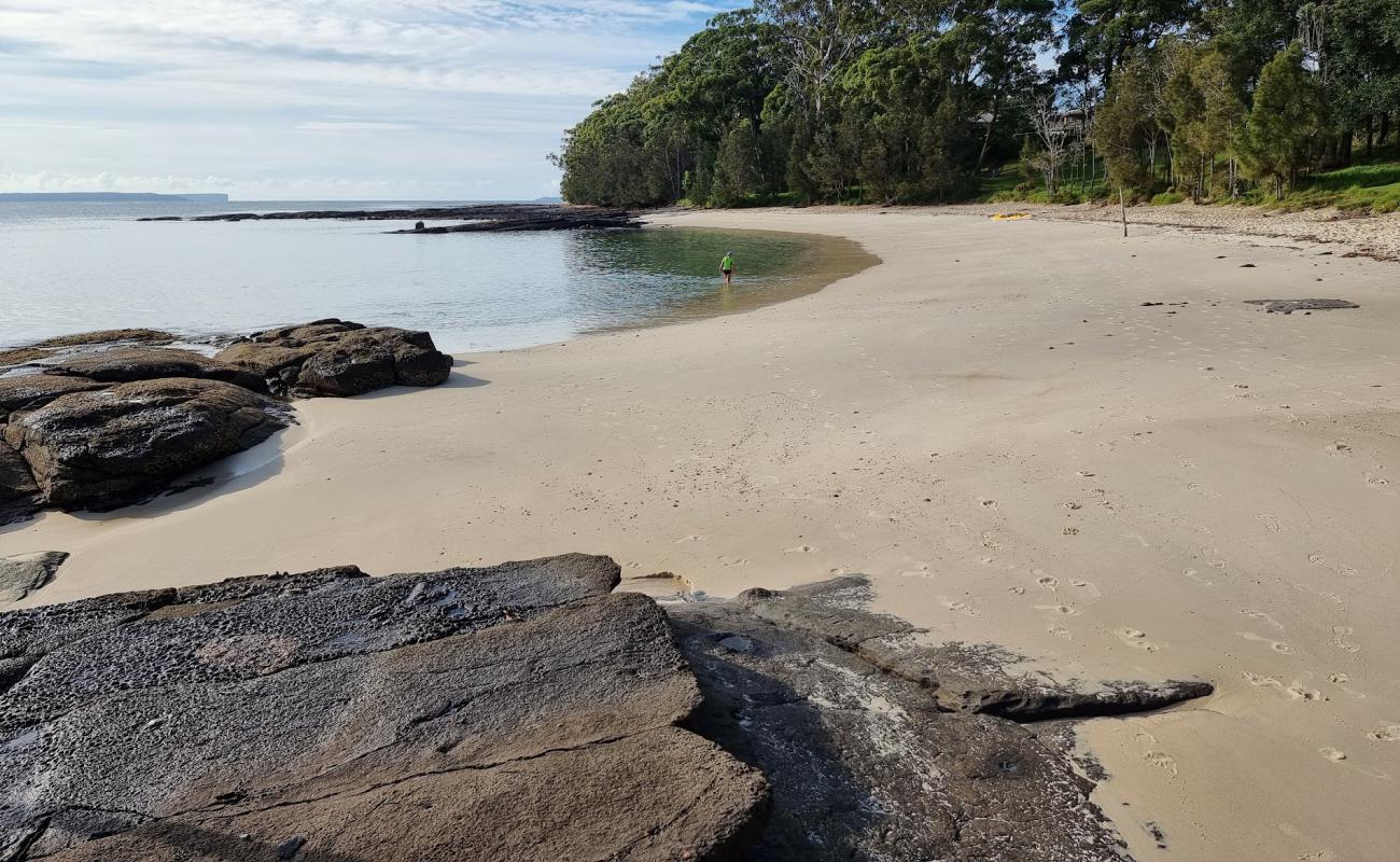 Photo de Shark Net Beach avec sable lumineux de surface