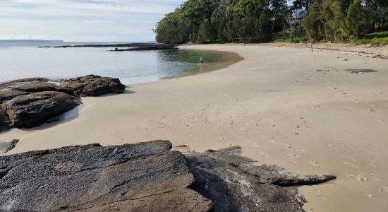 Shark Net Beach