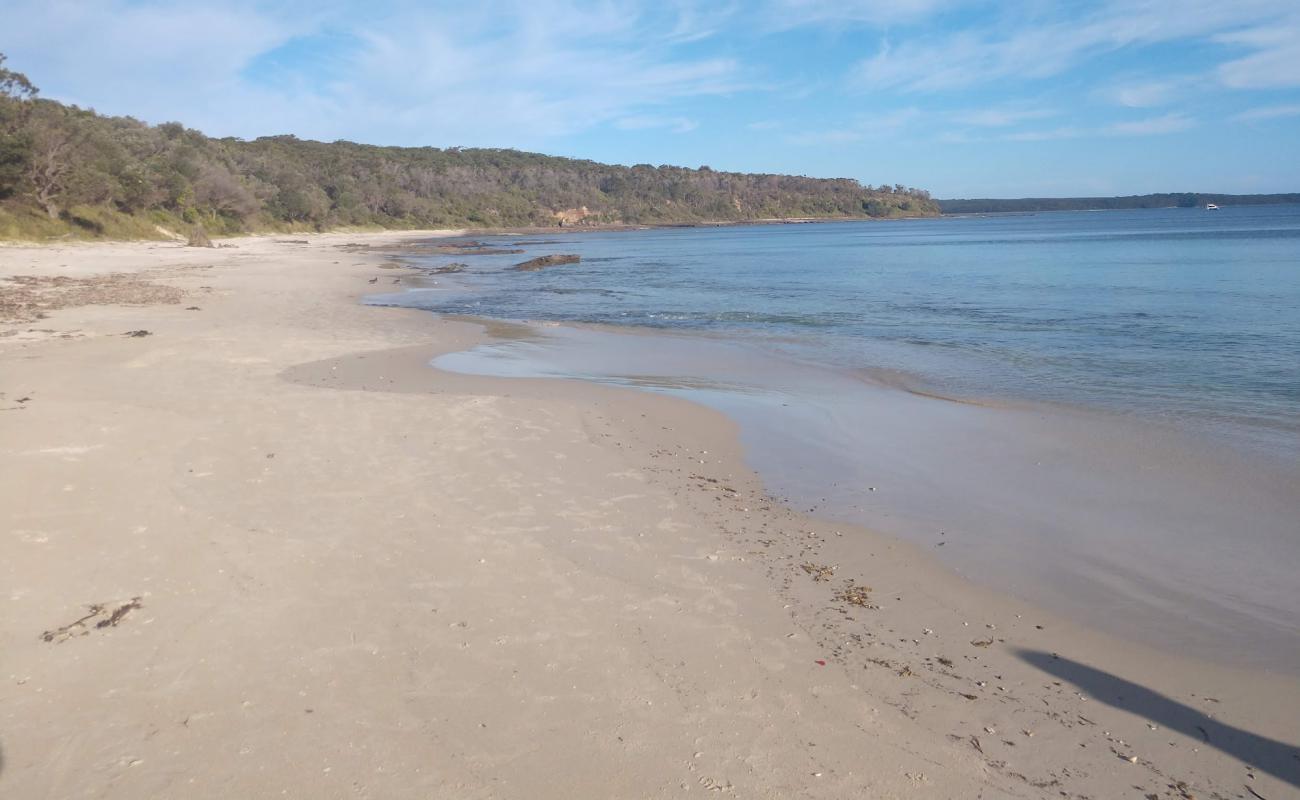 Photo de Cabbage Tree Beach avec sable lumineux de surface