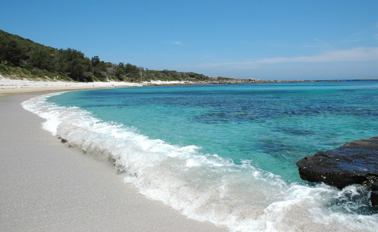 Photo de Silica Cove Beach avec sable lumineux de surface