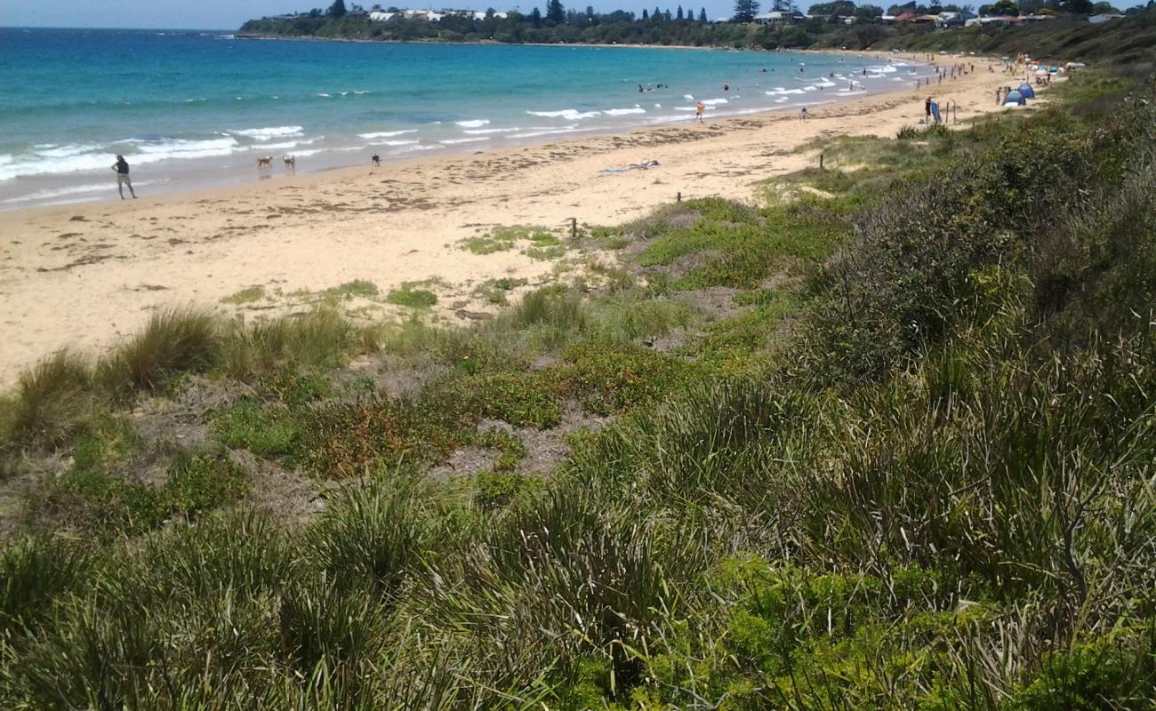 Photo de Culburra Beach avec sable beige fin de surface