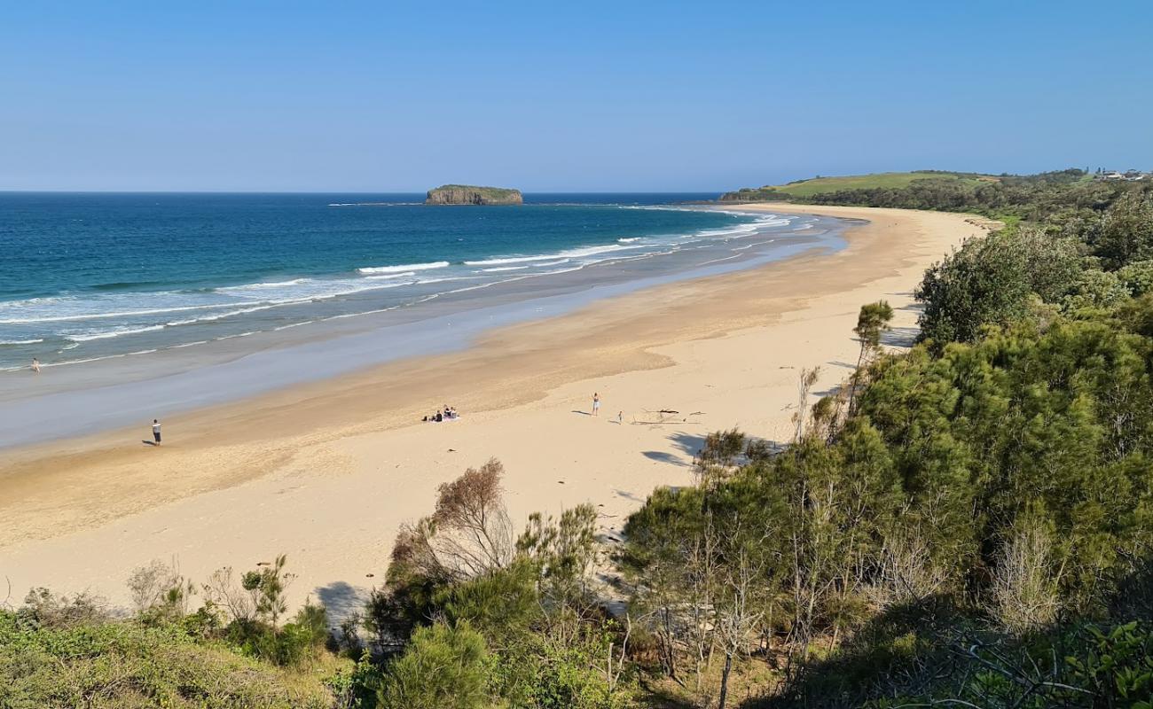 Photo de Minnamurra Beach avec sable fin et lumineux de surface