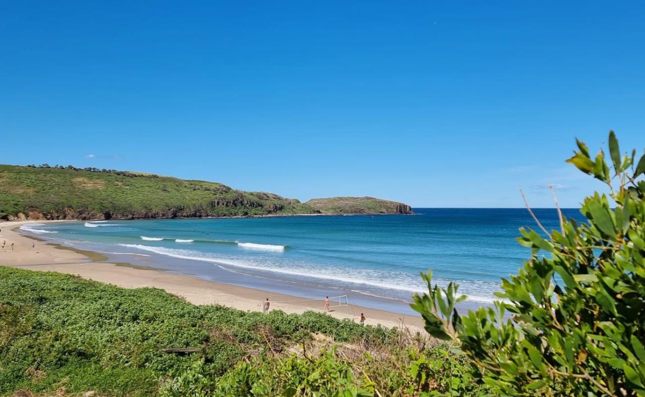 Photo de Killalea Beach avec sable fin et lumineux de surface