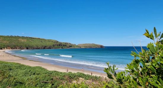 Killalea Beach