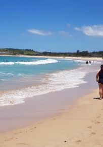 District de Shellharbour