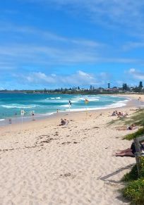 District de Shellharbour