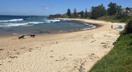 Little Austinmer Beach