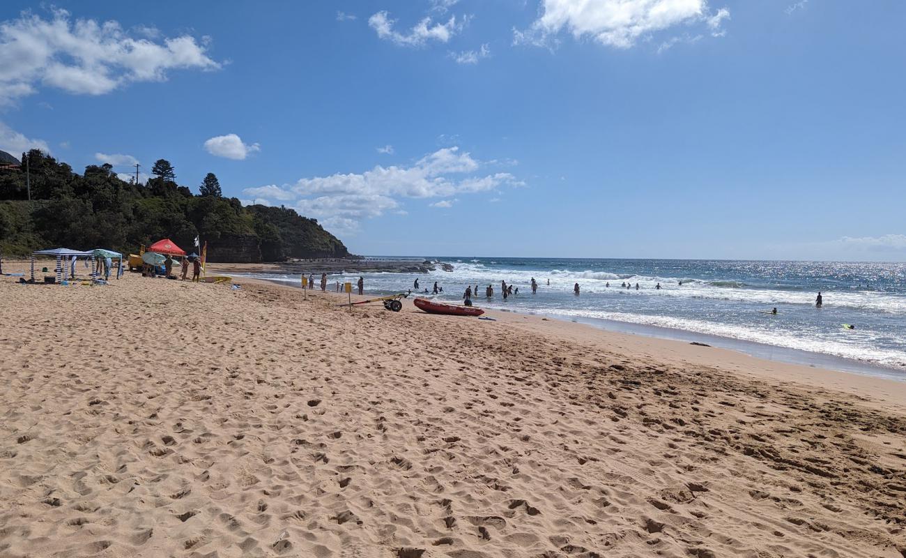 Photo de Coledale Beach avec sable beige de surface