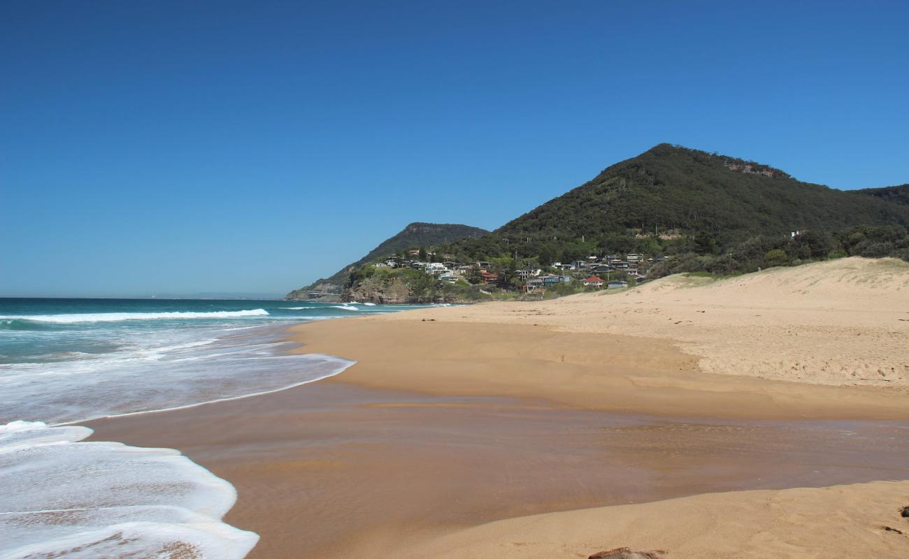 Photo de Stanwell Park Beach avec sable beige de surface