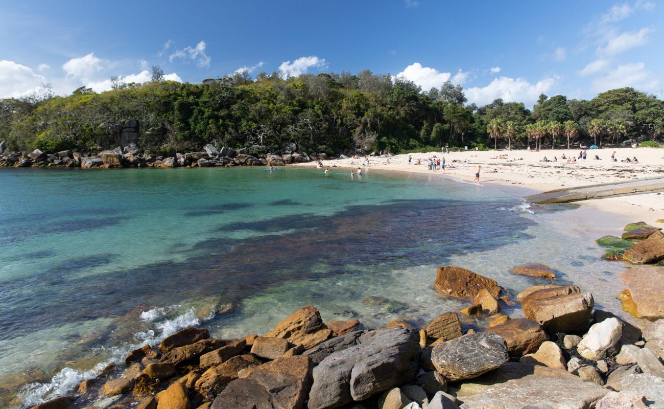 Photo de Shelly Beach avec sable beige de surface