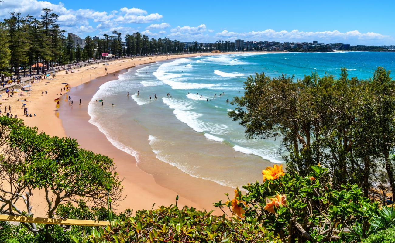 Photo de Plage de Manly avec sable fin et lumineux de surface