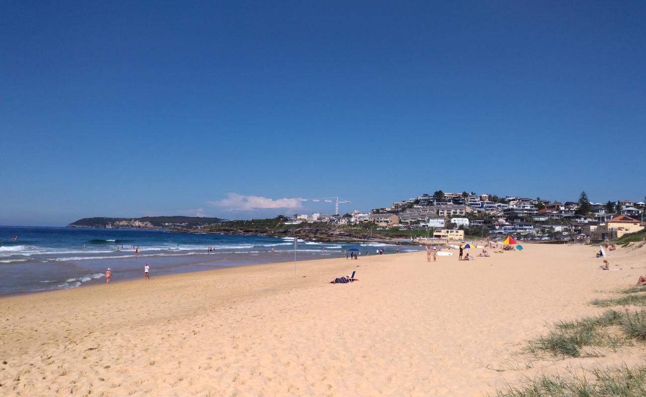 Photo de South Curl Curl Beach avec sable fin et lumineux de surface