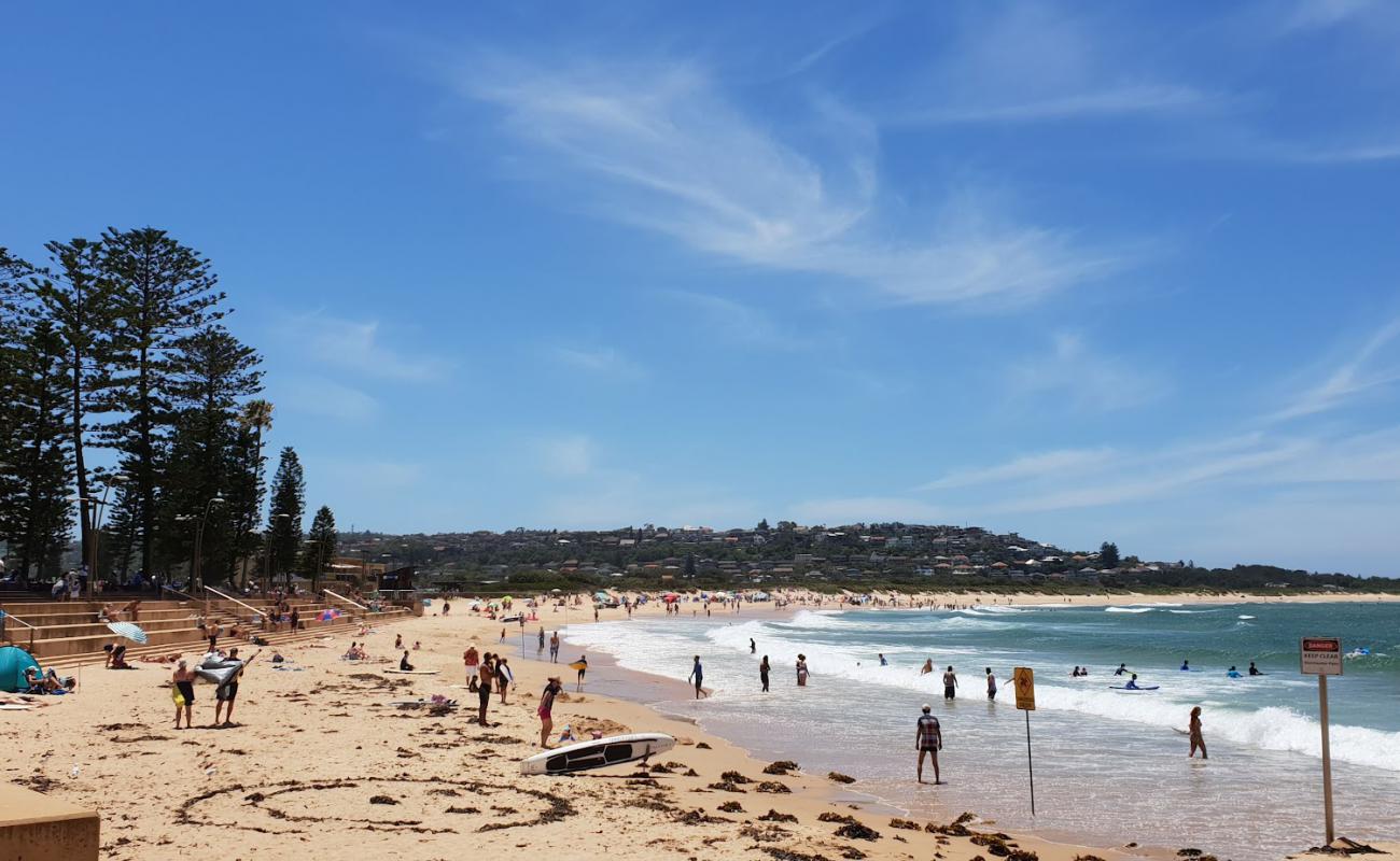 Photo de Dee Why Beach avec sable fin et lumineux de surface