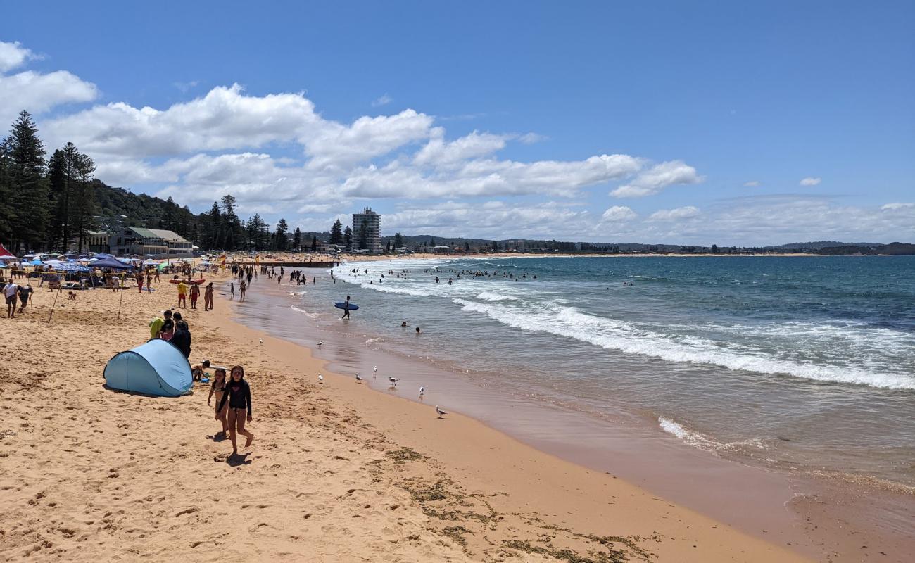 Photo de Collaroy Beach avec sable lumineux de surface