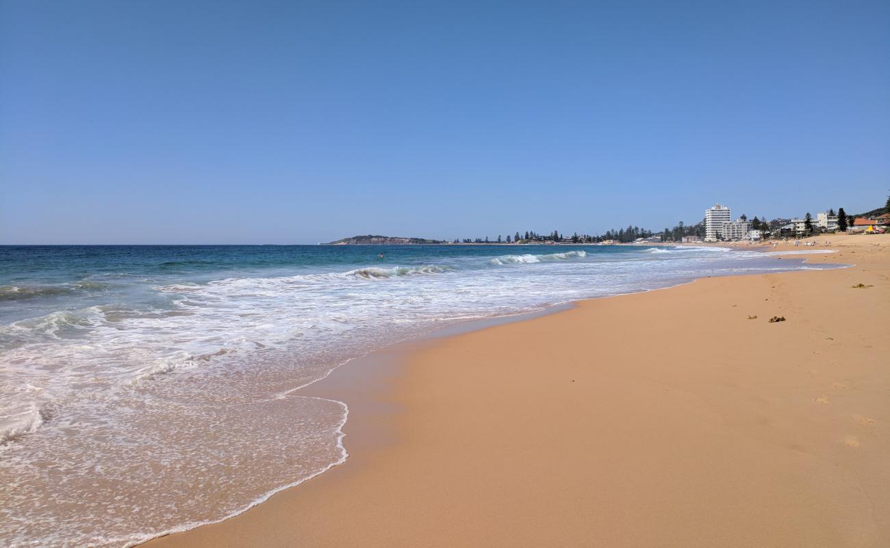 Photo de Narrabeen Beach avec sable beige de surface