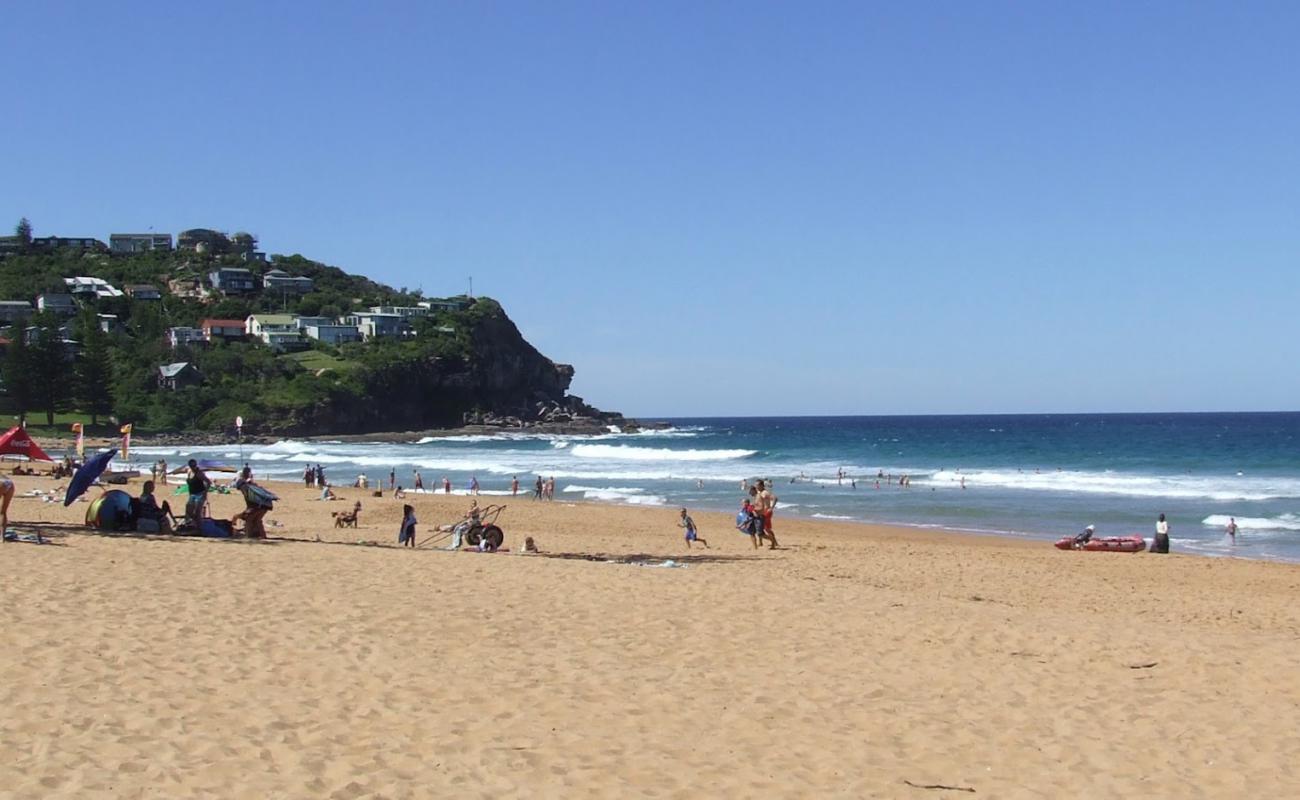 Photo de Whale Beach avec sable fin et lumineux de surface