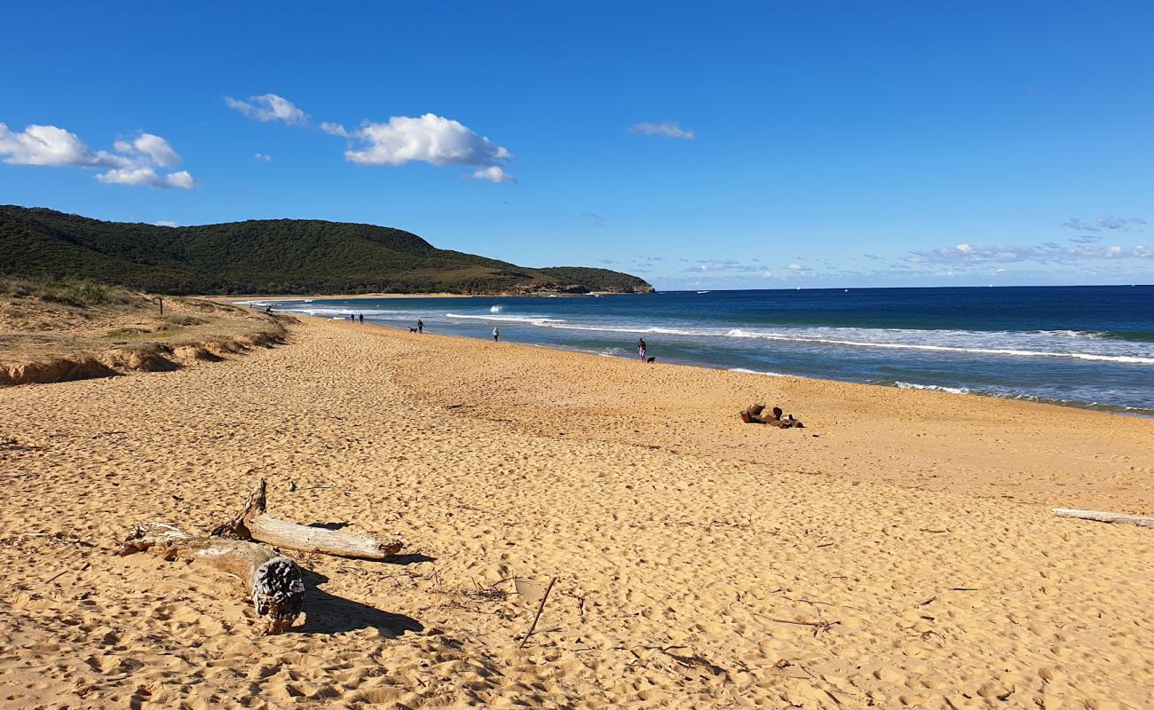 Photo de Killcare Beach avec sable fin et lumineux de surface