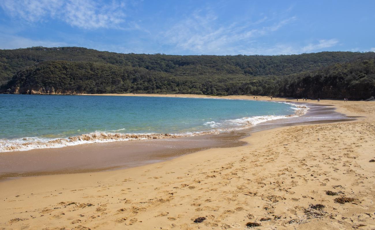 Photo de Maitland Bay Beach avec sable beige fin de surface