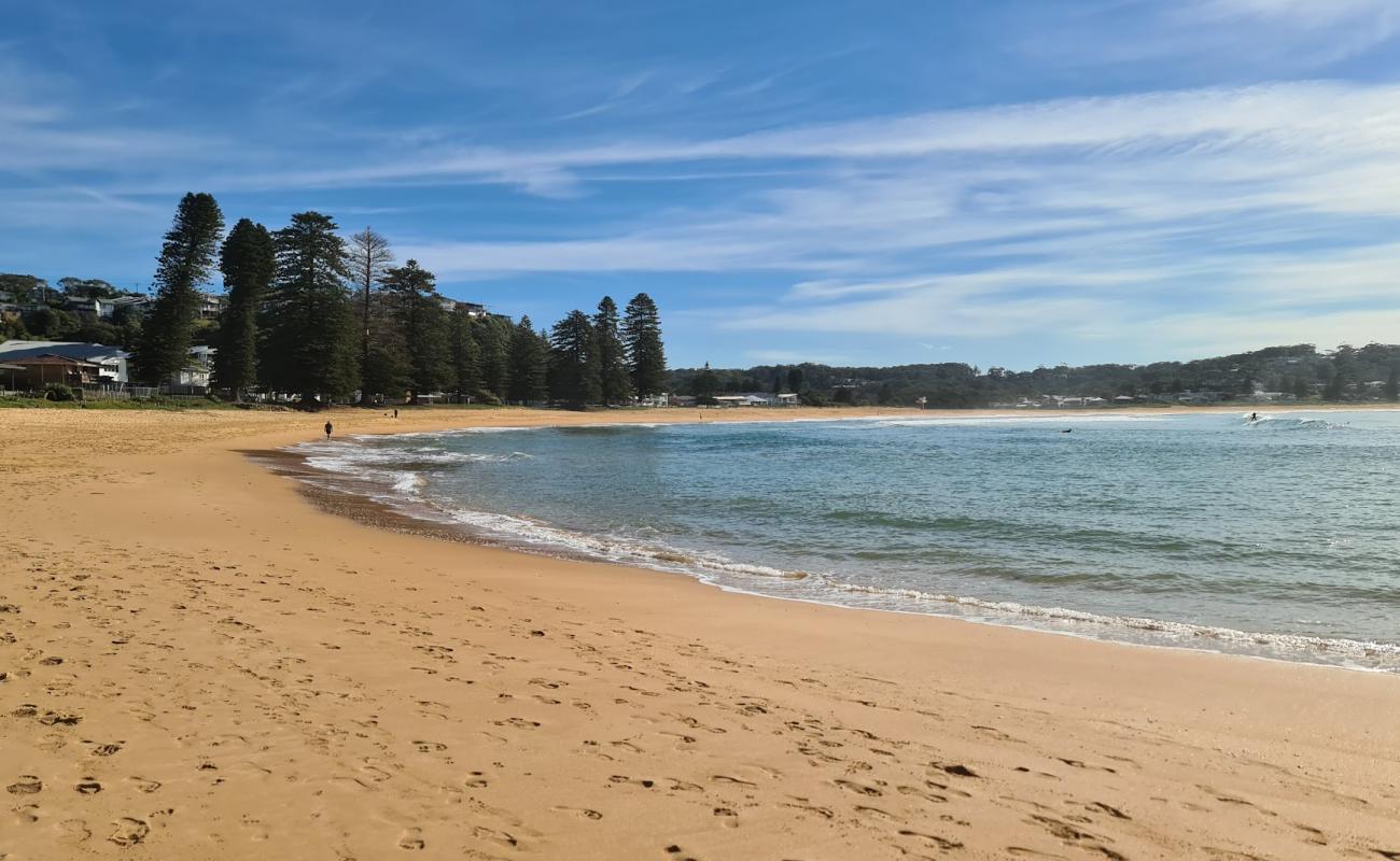 Photo de North Avoca Beach avec sable fin et lumineux de surface