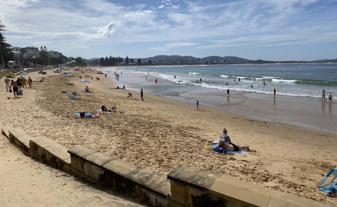 Photo de Terrigal Beach avec sable lumineux de surface