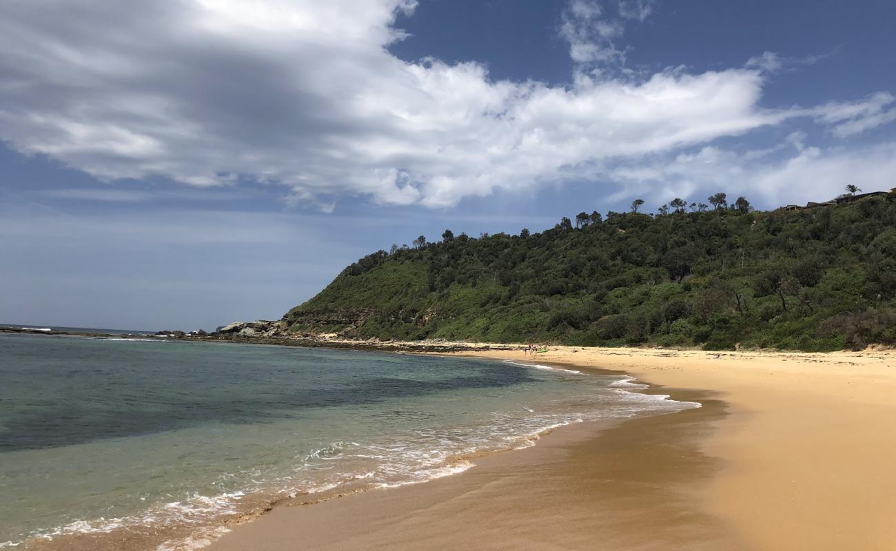 Photo de Forresters Beach avec sable beige fin de surface