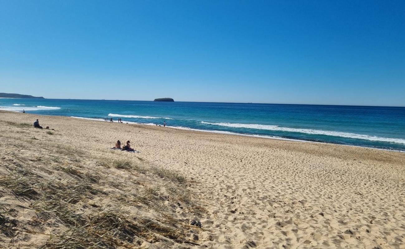 Photo de Budgewoi Beach avec sable fin et lumineux de surface