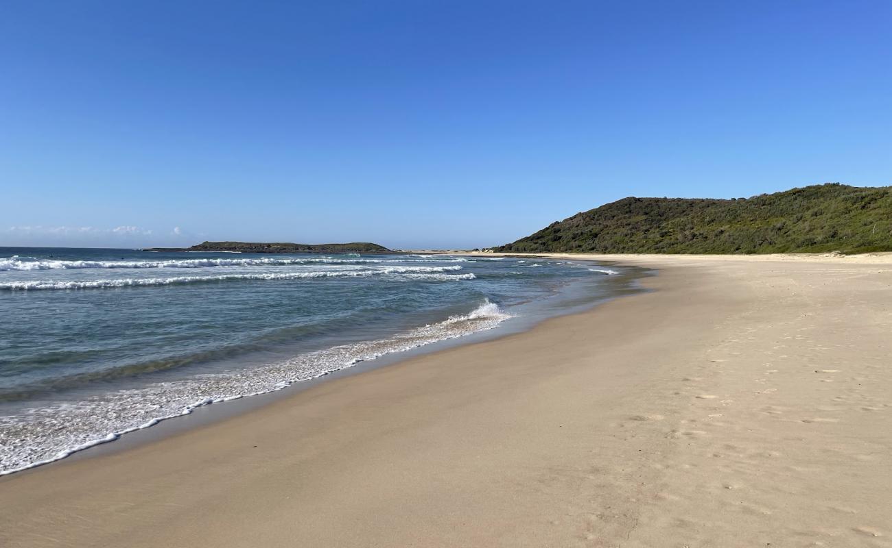 Photo de Moonee Beach avec sable fin et lumineux de surface