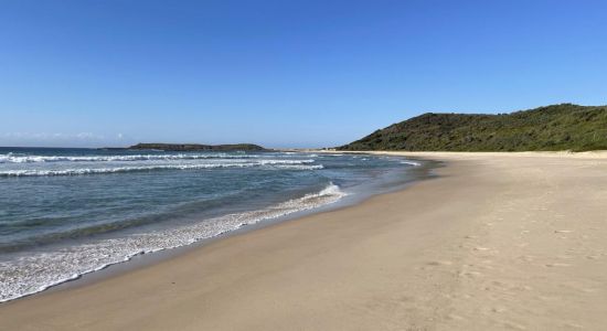 Moonee Beach