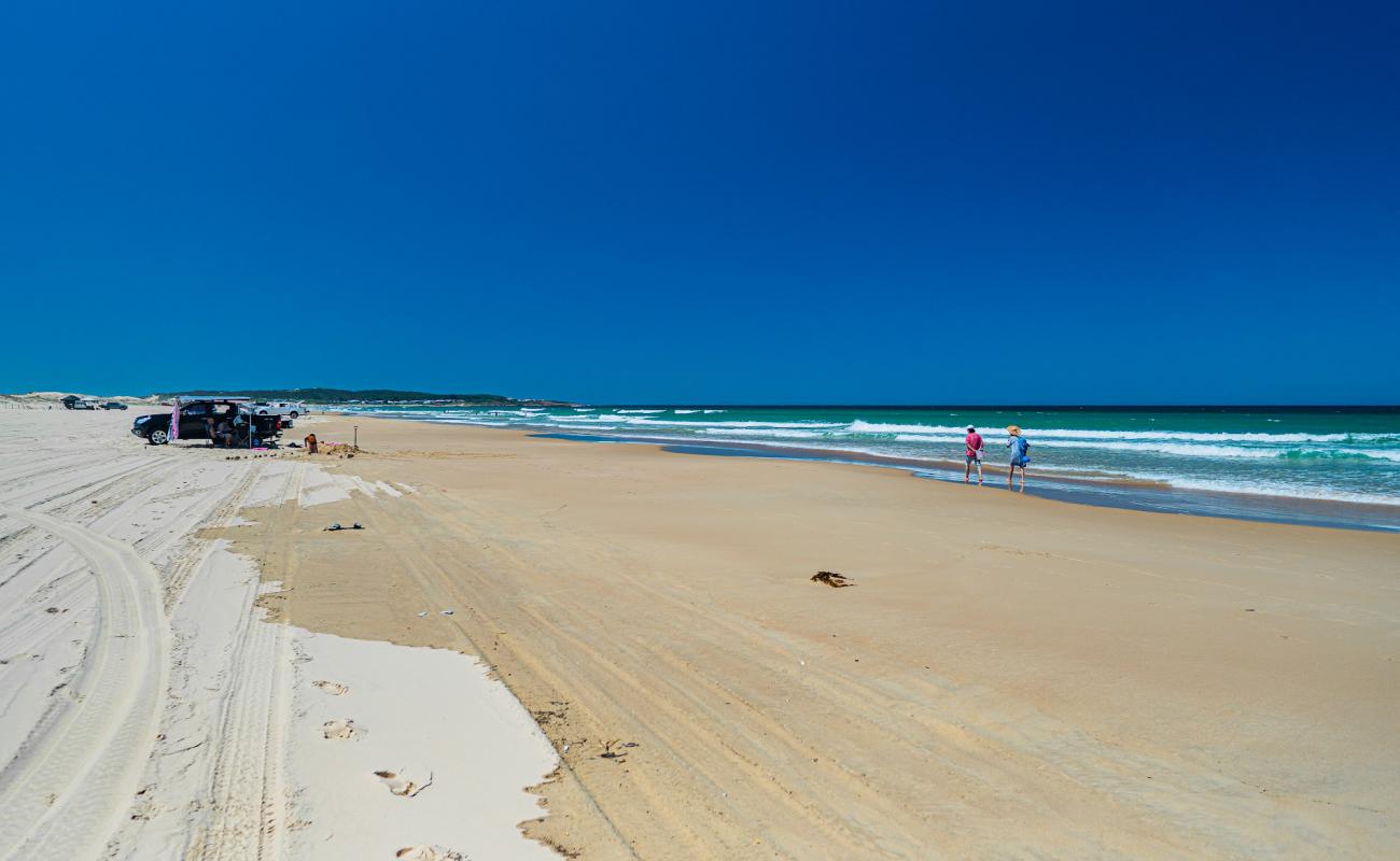 Photo de Stockton Beach avec sable beige fin de surface