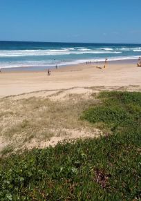 Conseil de Port Stephens