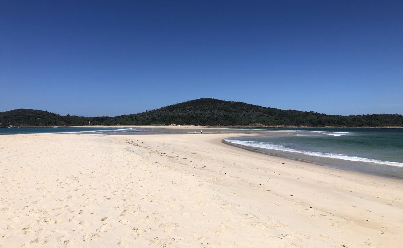 Photo de Fingal Beach avec sable fin et lumineux de surface