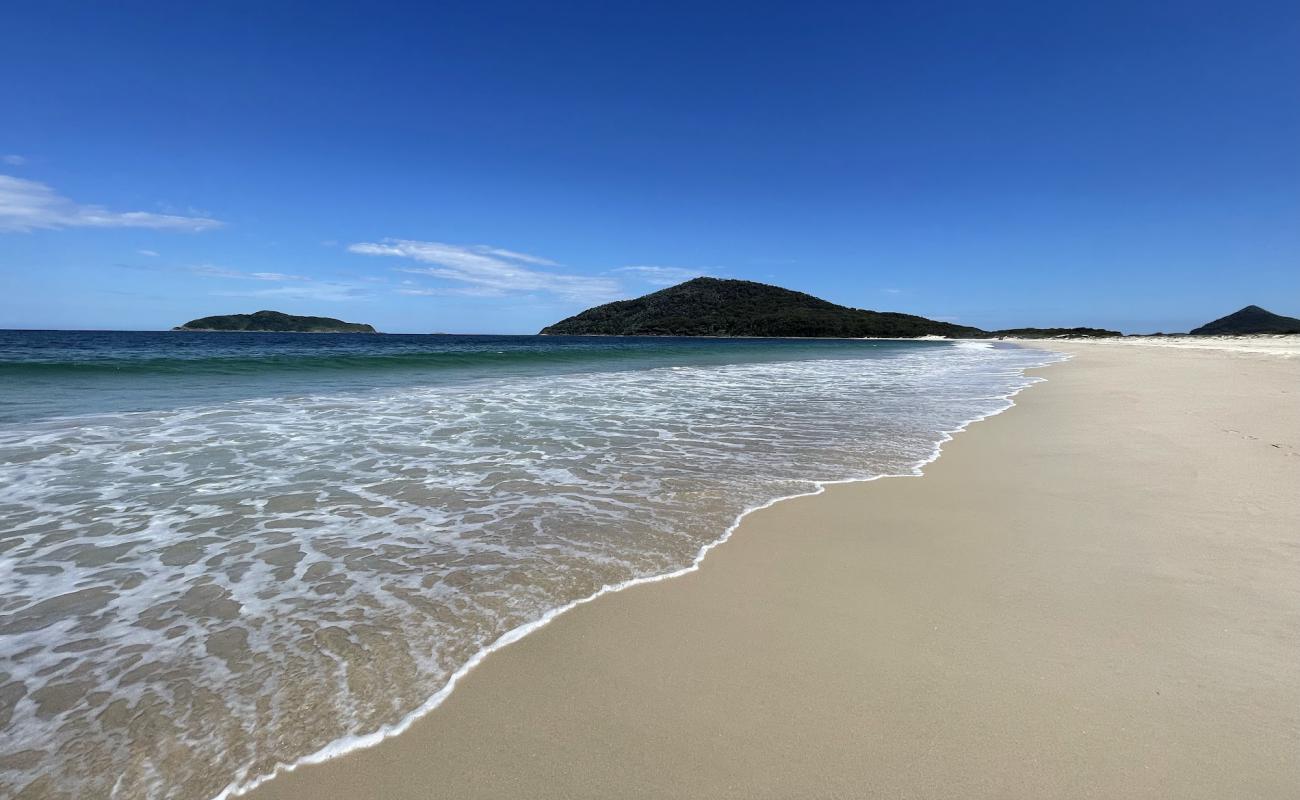 Photo de Great Mermaid Beach avec sable beige de surface