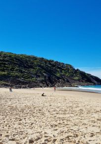 Conseil de Mid-Coast