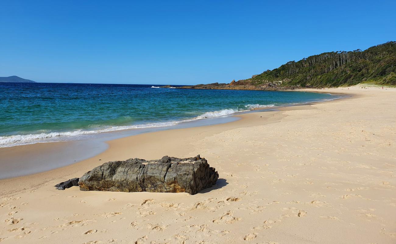 Photo de Shelly Beach avec sable fin et lumineux de surface