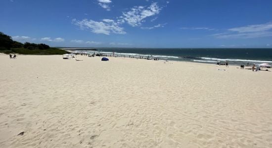 Forster Beach