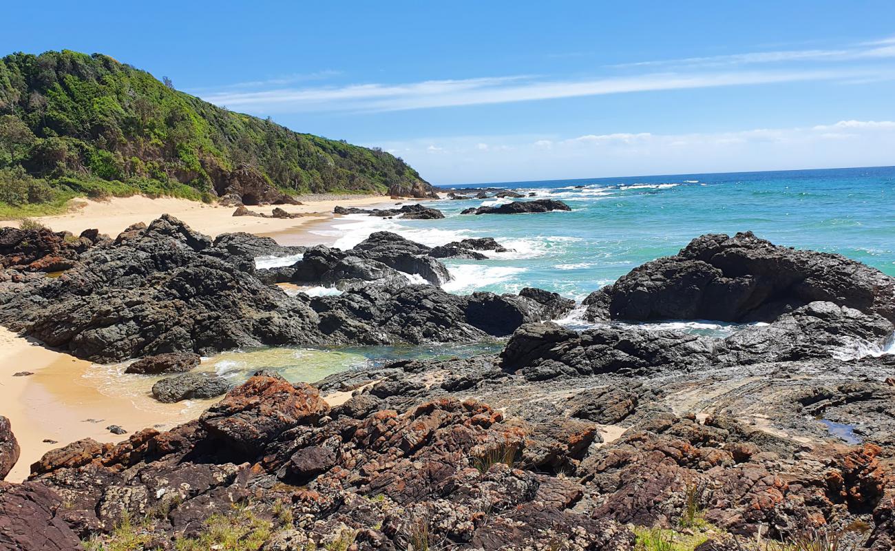 Photo de Pebbly Beach avec sable beige & pierres de surface