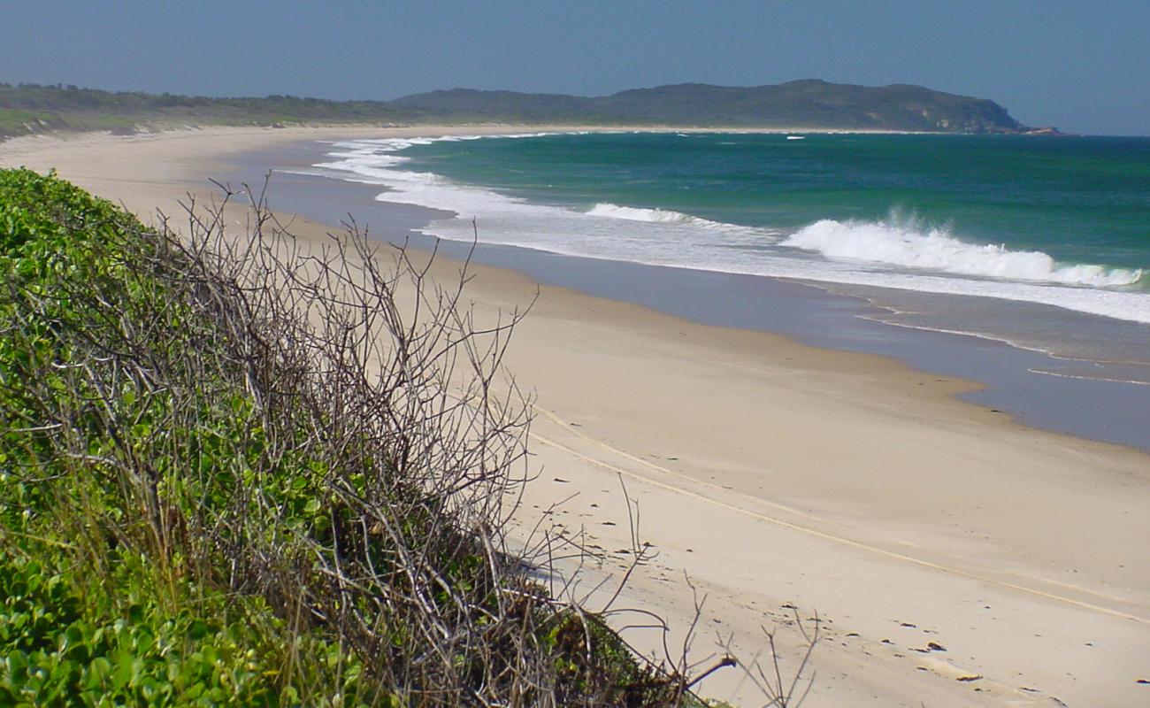 Photo de Crowdy Bay Beach avec sable lumineux de surface