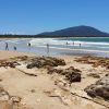 Dunbogan Beach