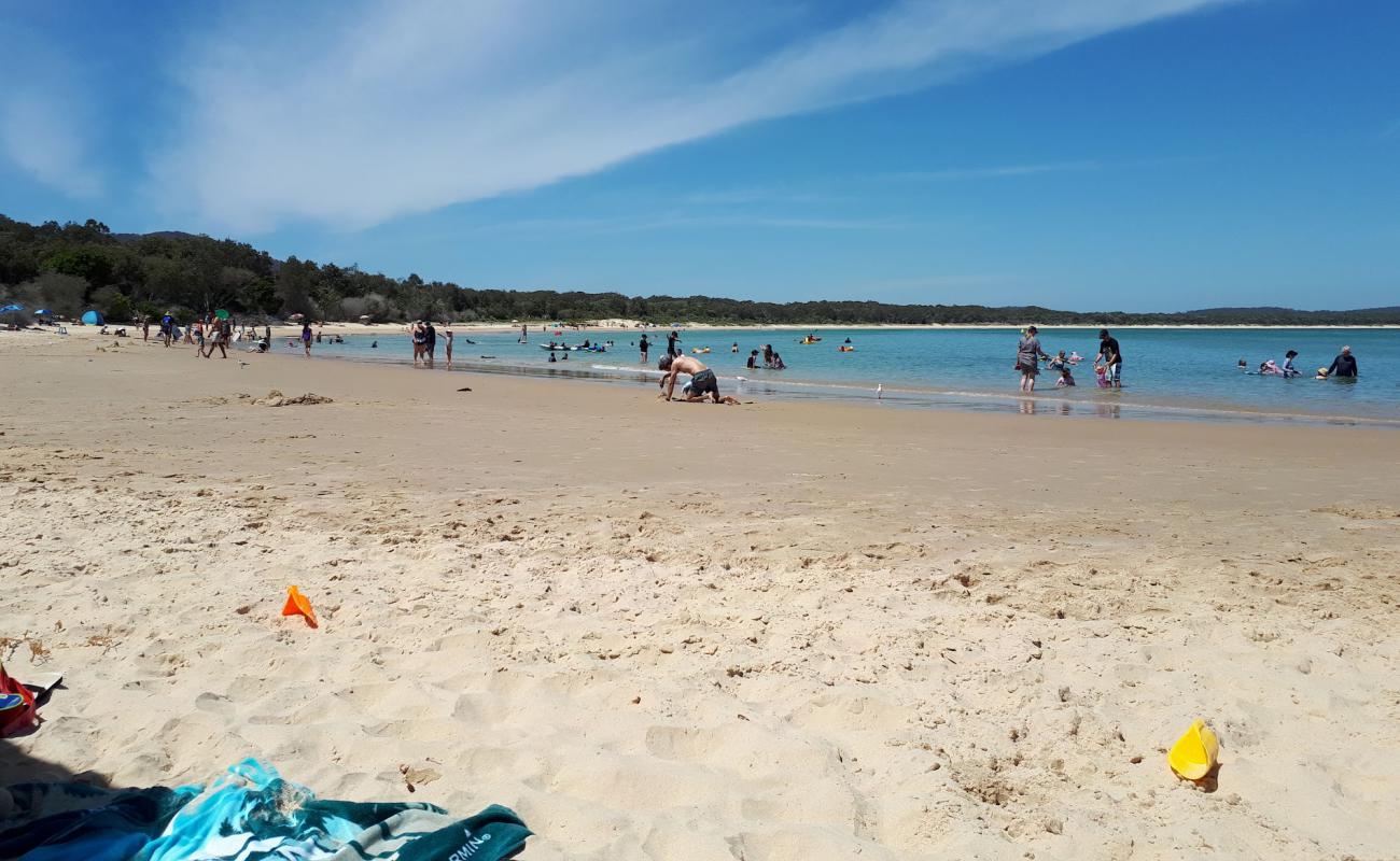 Photo de Trial Bay Gaol Beach avec sable beige fin de surface