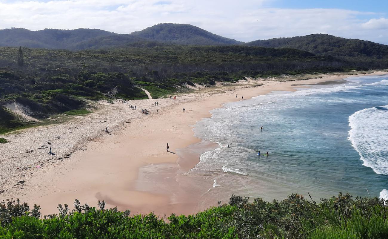 Photo de Grassy Beach avec sable fin et lumineux de surface