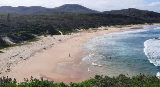 Grassy Beach