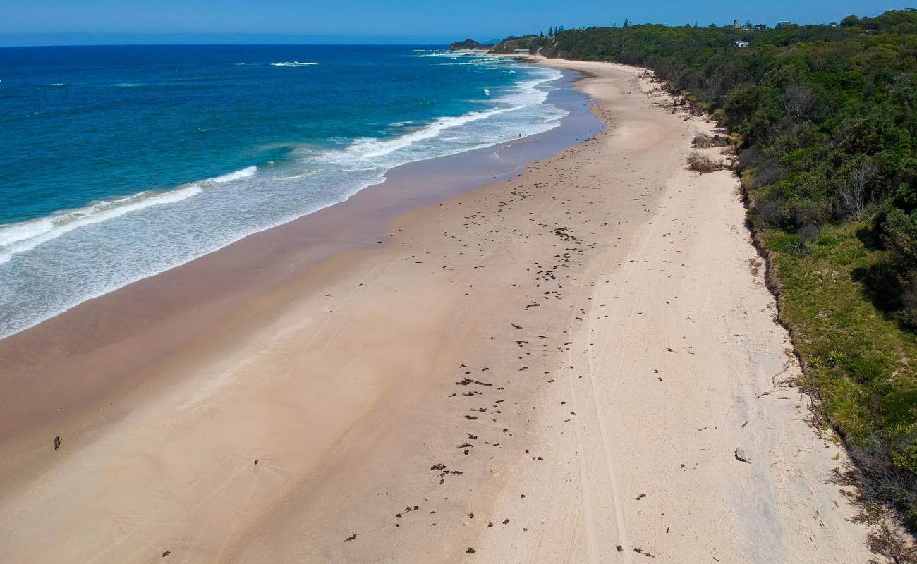 Photo de Forster Beach avec sable fin et lumineux de surface