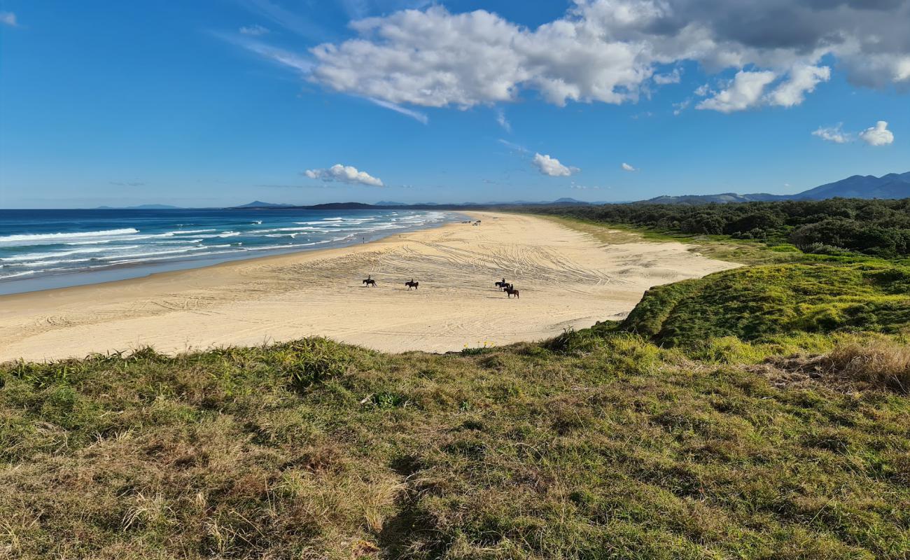 Photo de Boambee Beach avec sable fin et lumineux de surface