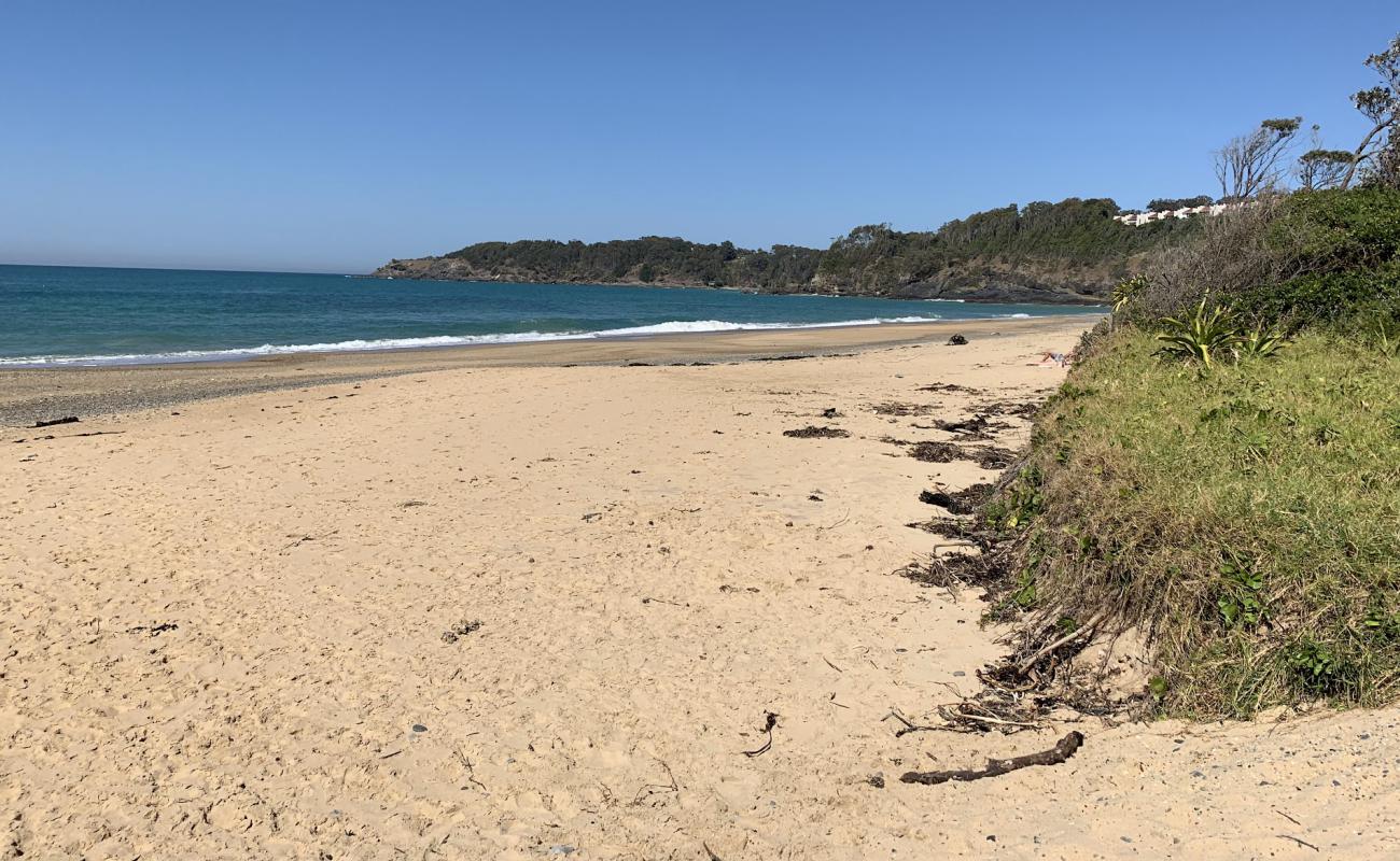 Photo de Korora Beach avec sable beige de surface