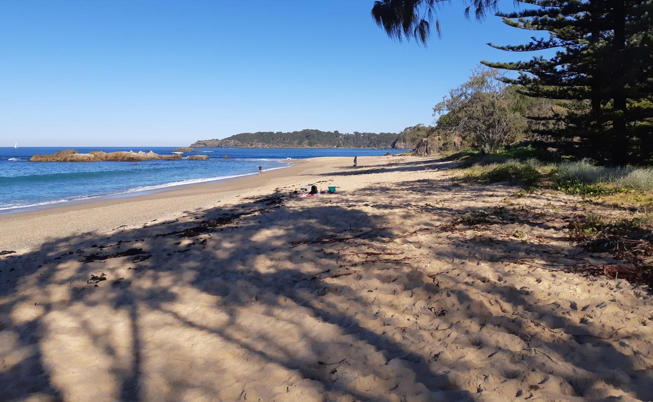 Photo de Opal Cove Beach avec sable beige de surface