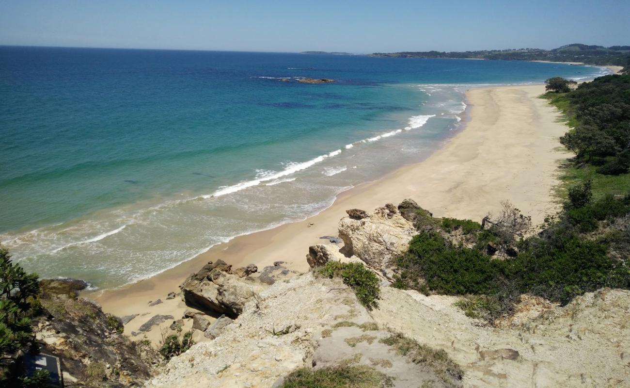 Photo de Campbells Beach avec sable beige de surface