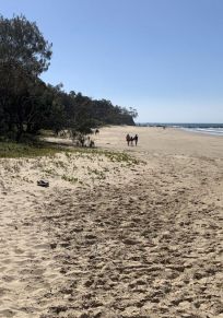 District de Coffs Harbour