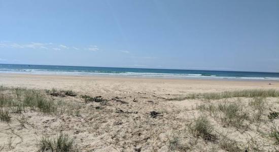 Station Creek Beach