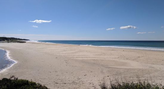 Plumbago Beach