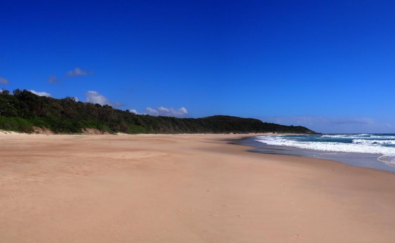 Photo de Little Shelley Beach avec sable lumineux de surface